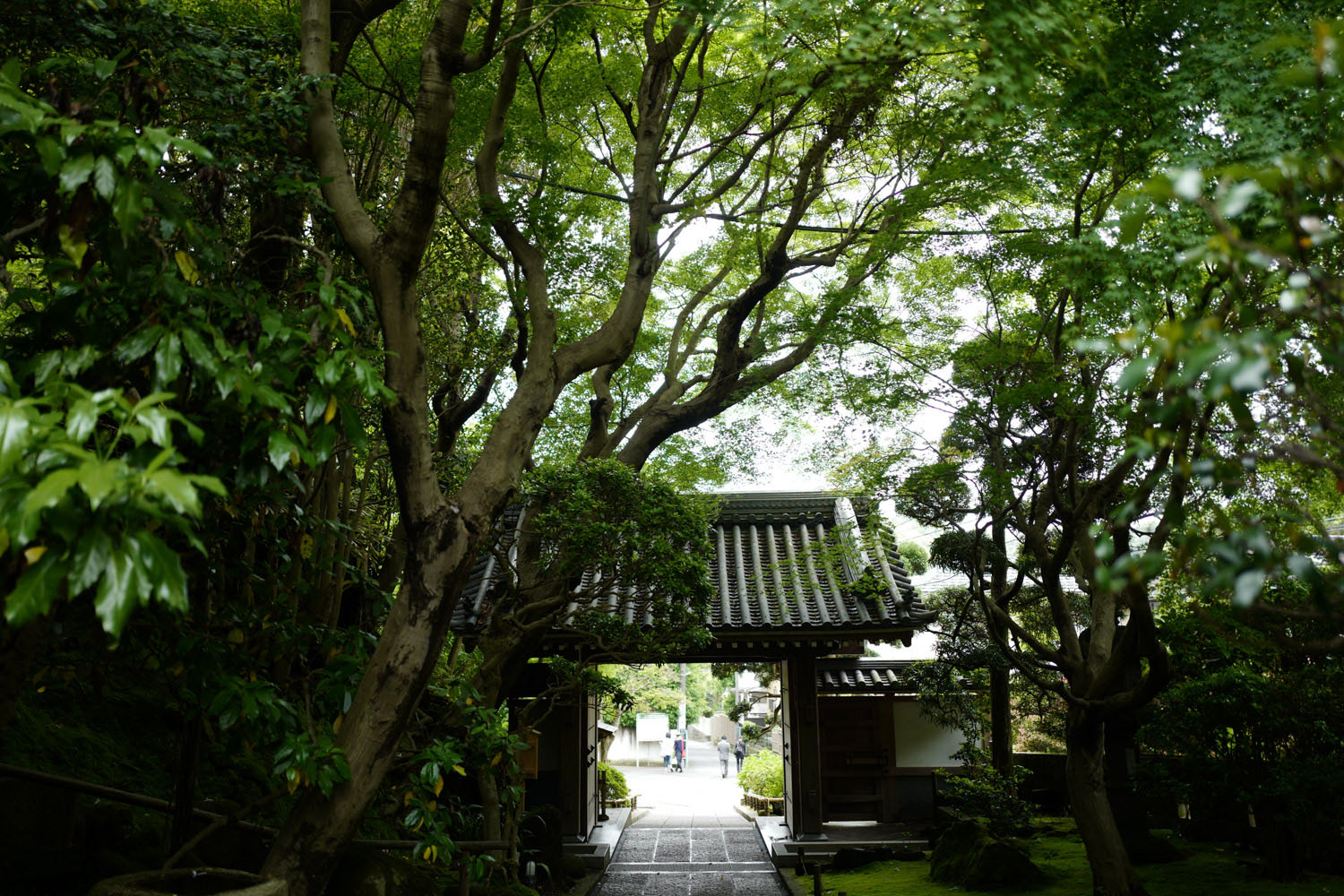 Kamakura