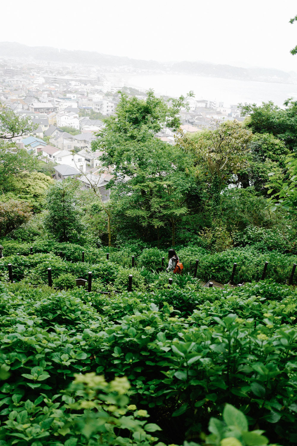 Kamakura