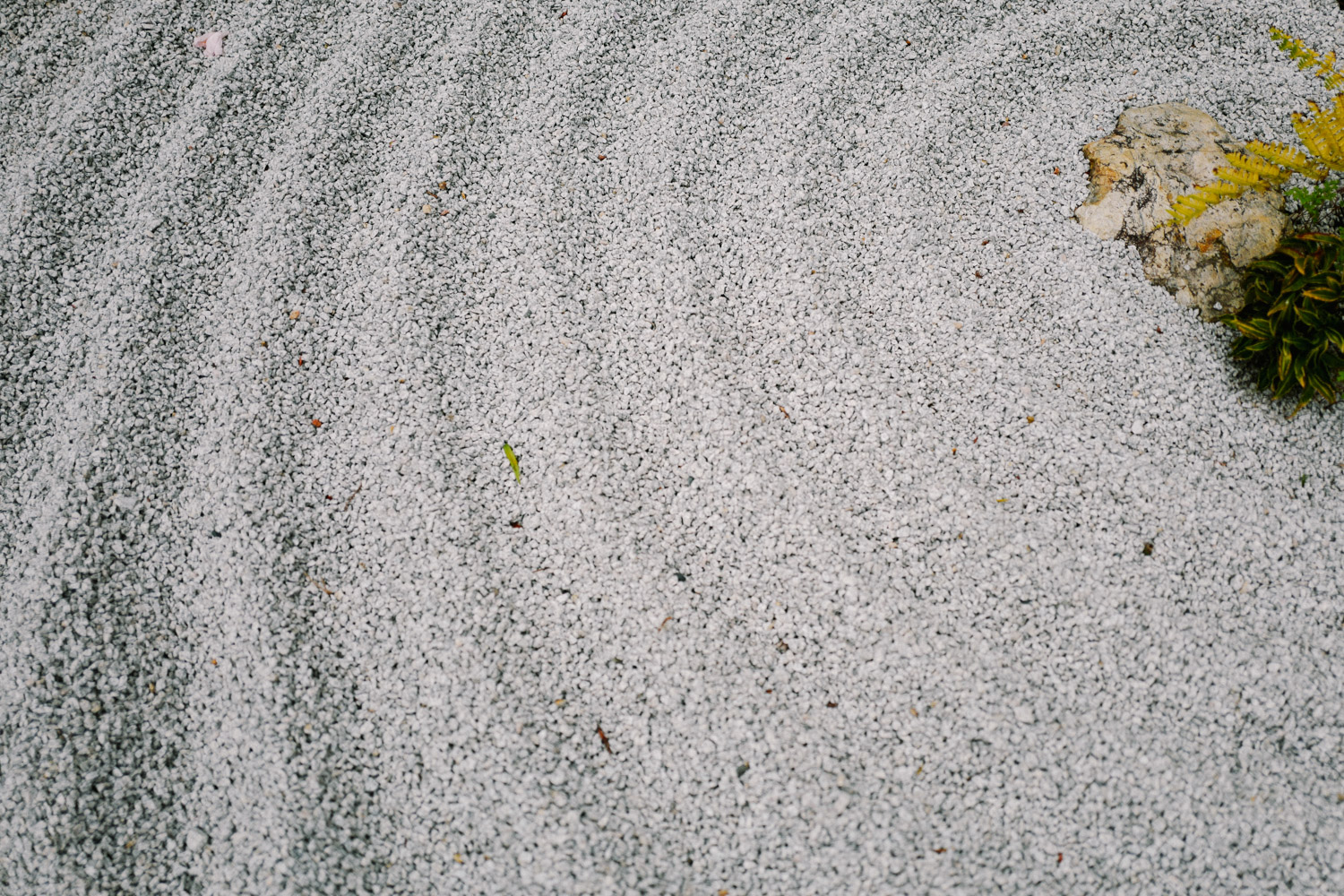 Kamakura