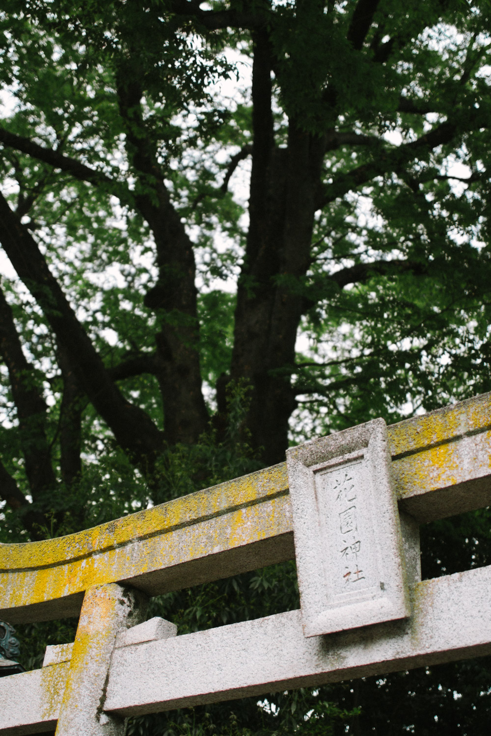 Rikugien Gardens, Tokyo