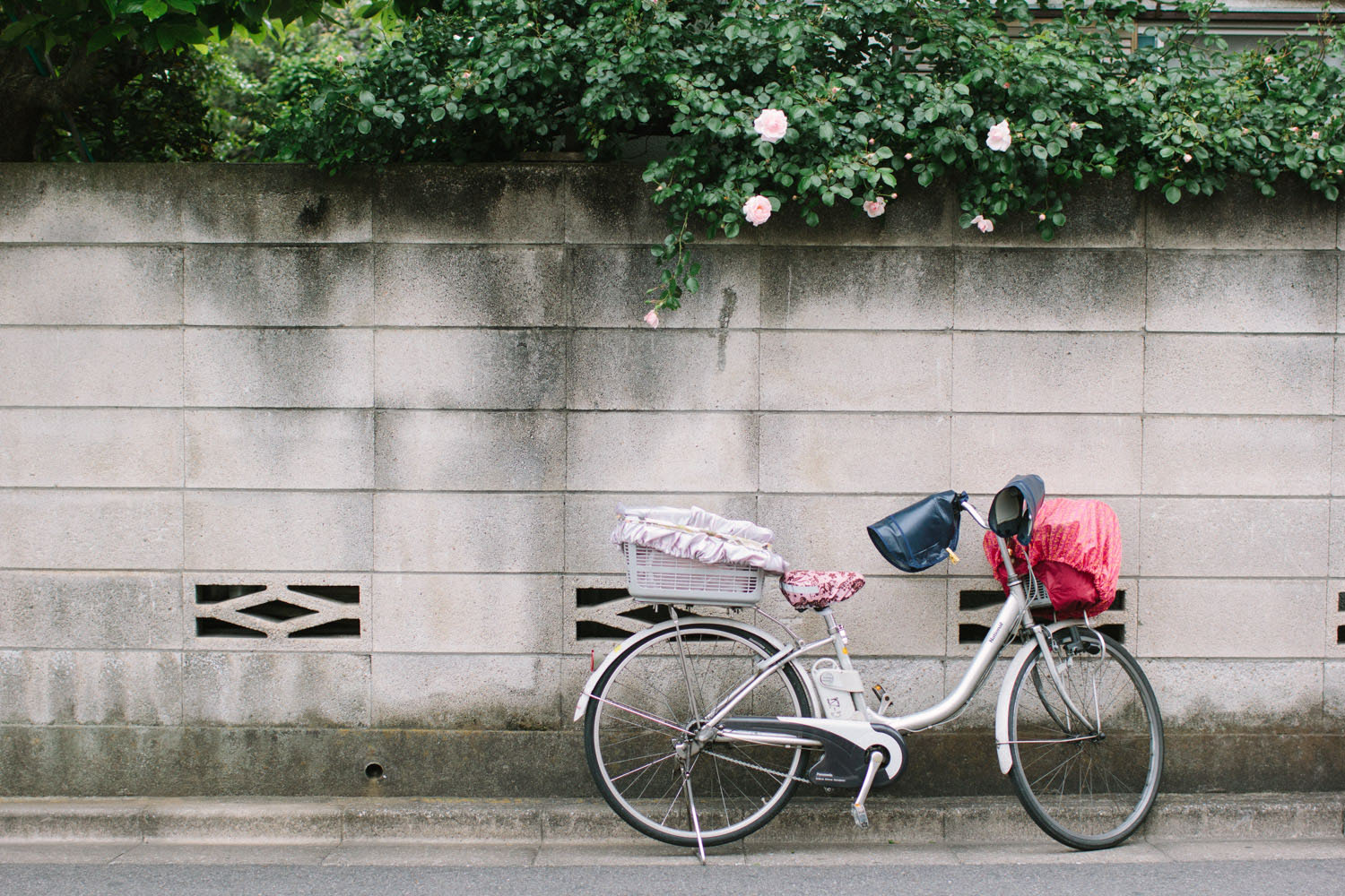 Exploring Tokyo