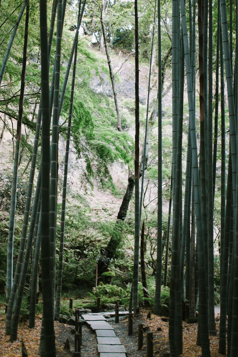 Kamakura