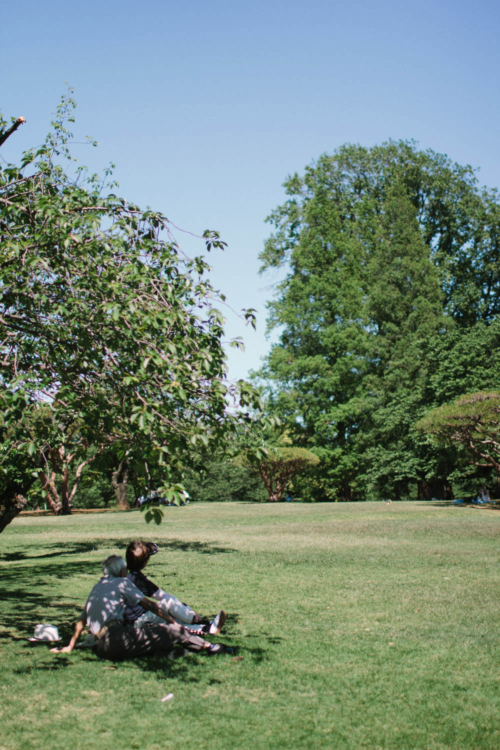 Shinjuku Gyoen