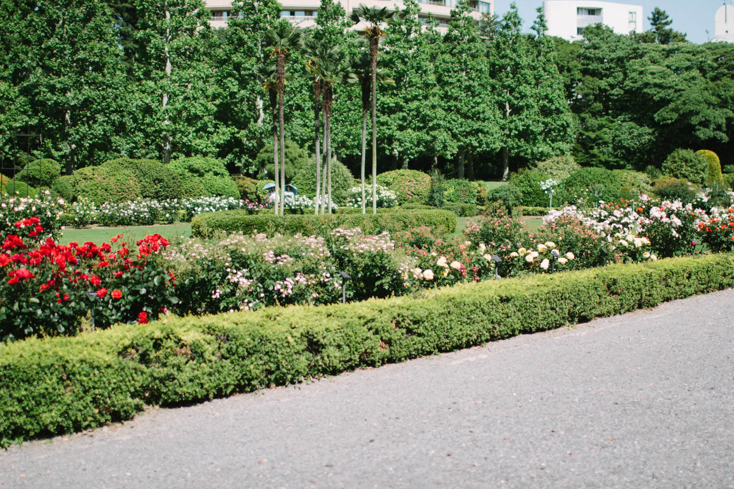 Shinjuku Gyoen