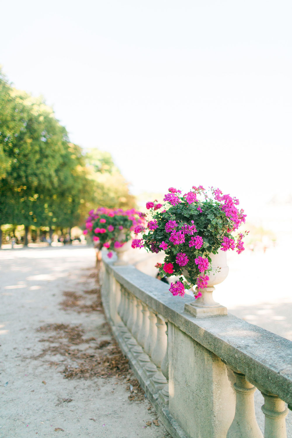 Jardin du Luxembourg