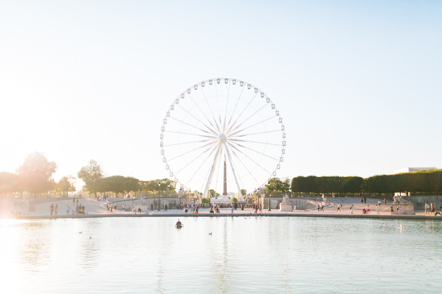 Jardin des Tuileries