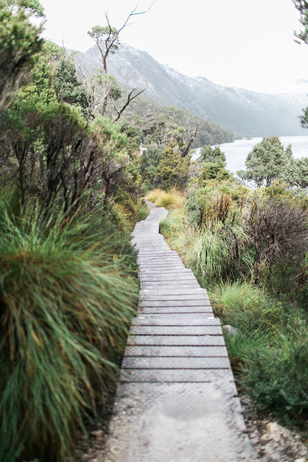 Cradle Mountain