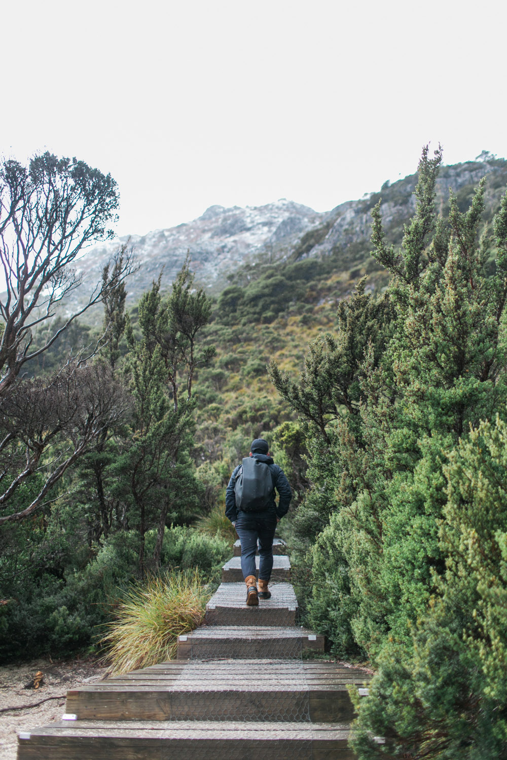 Cradle Mountain