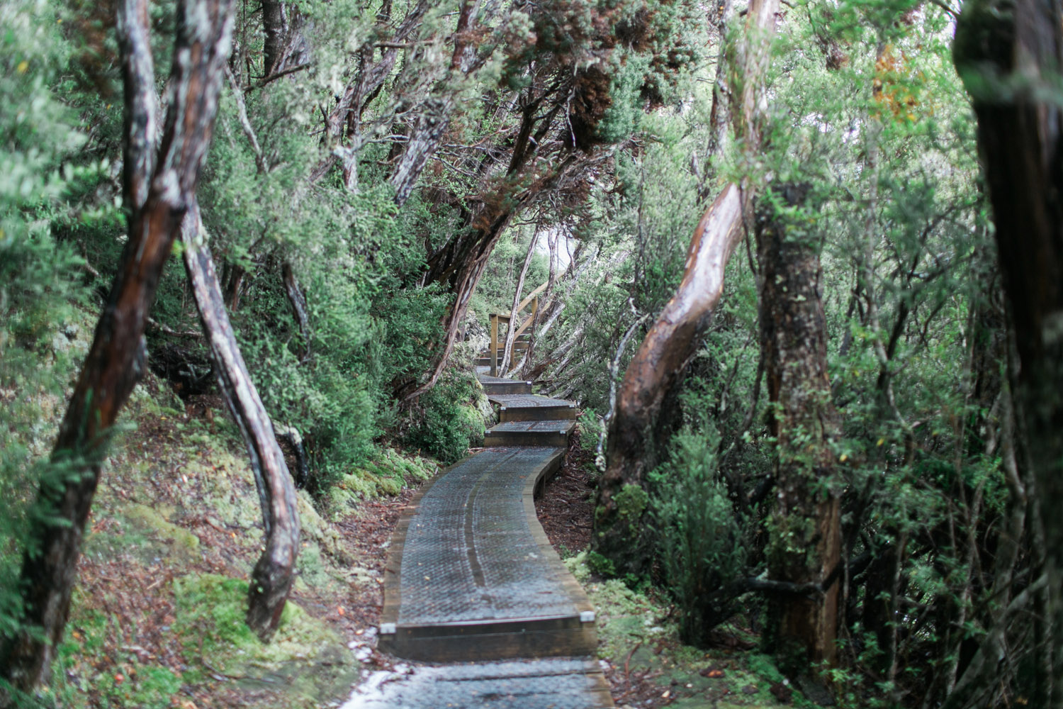 Cradle Mountain