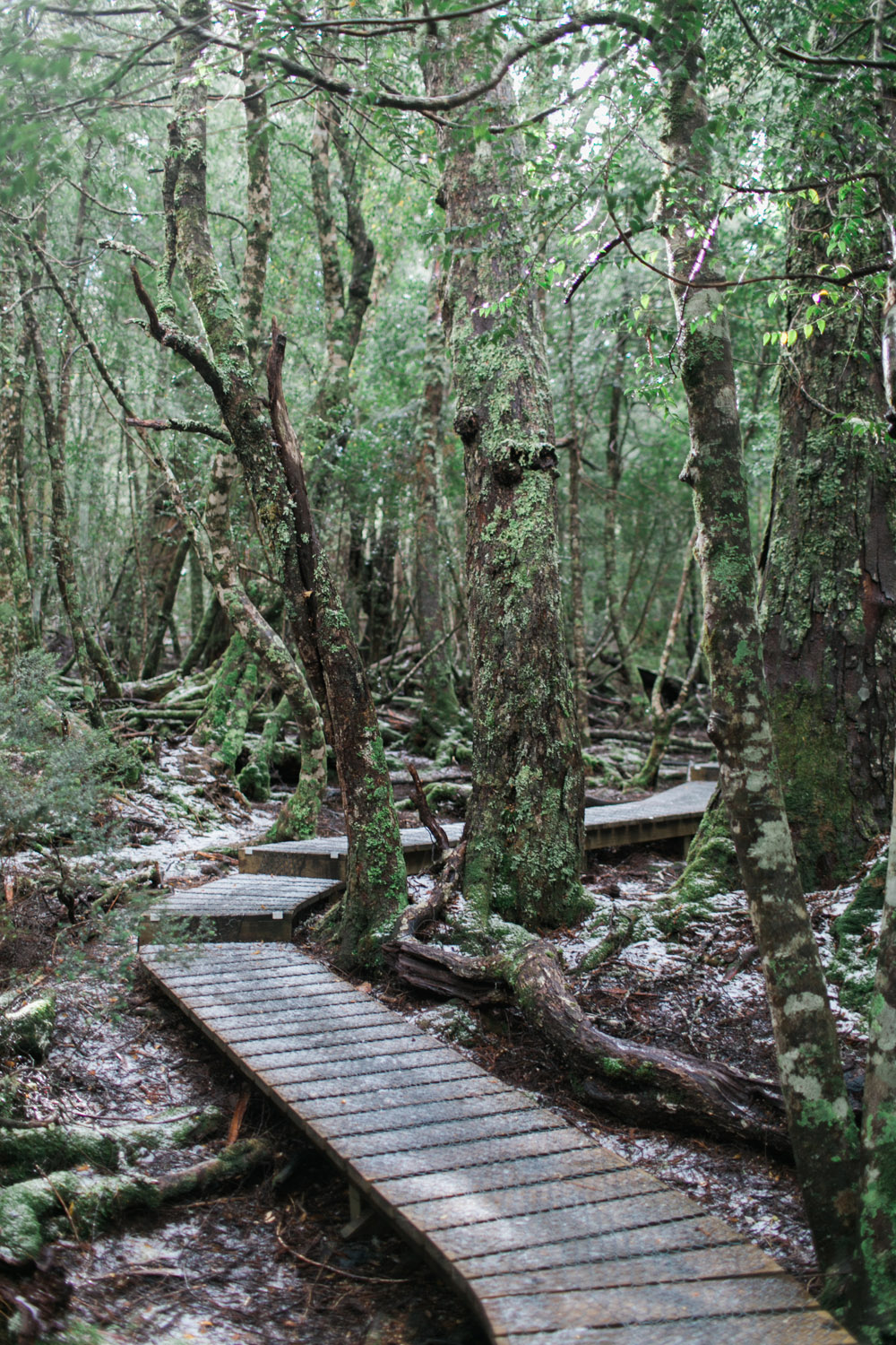 Cradle Mountain