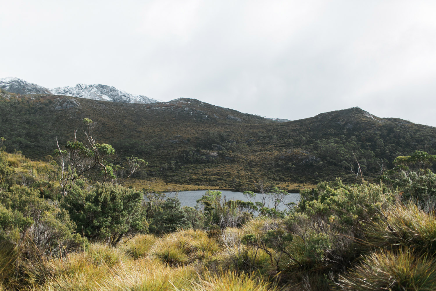 Cradle Mountain