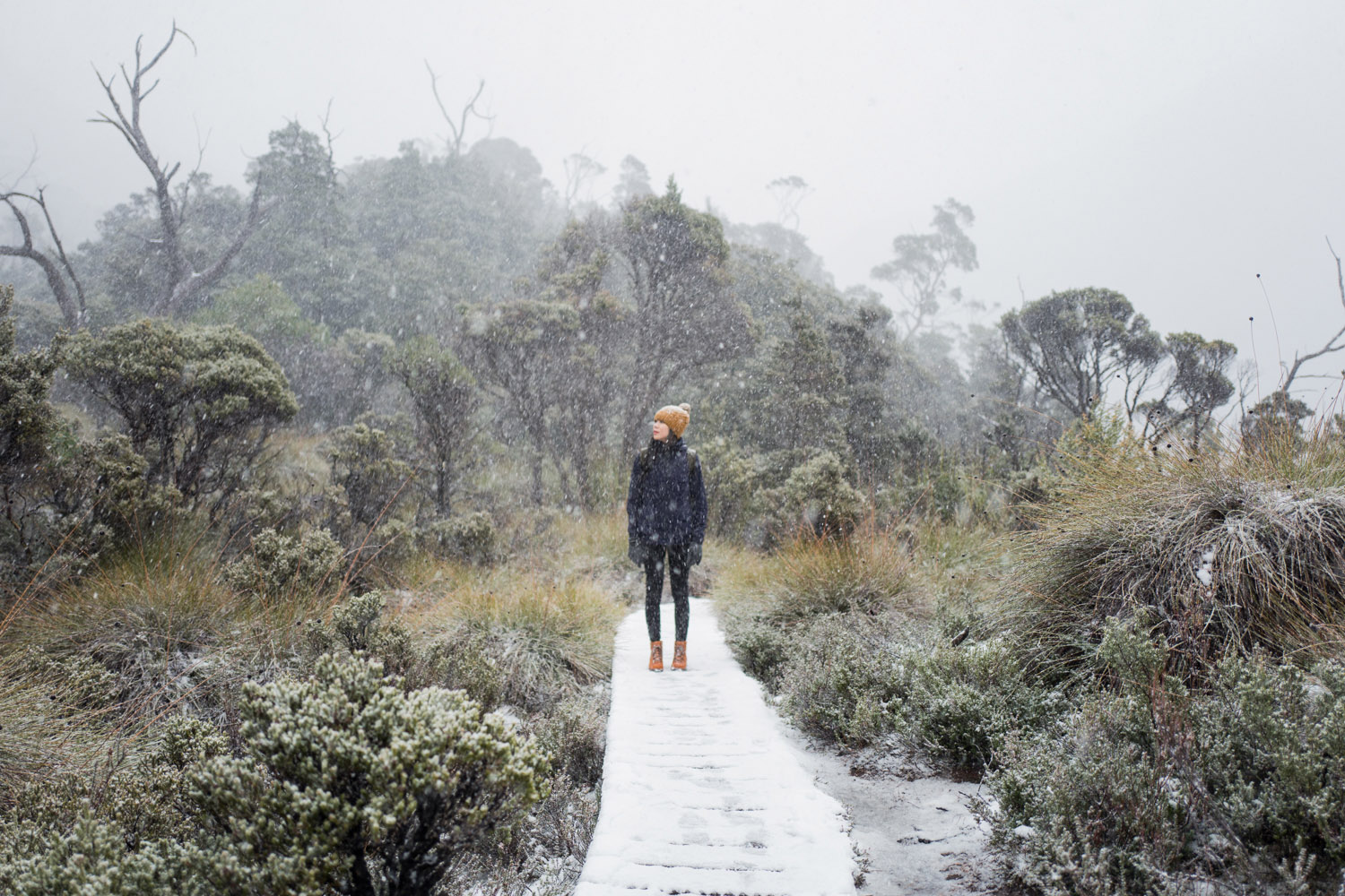 Cradle Mountain