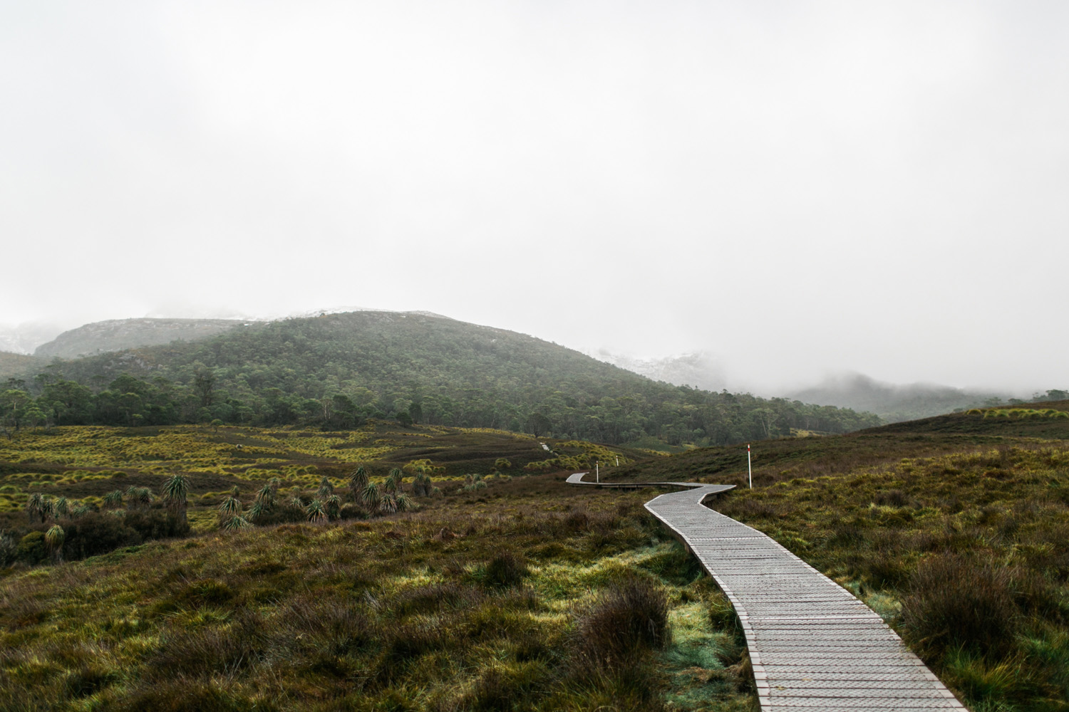 Cradle Mountain