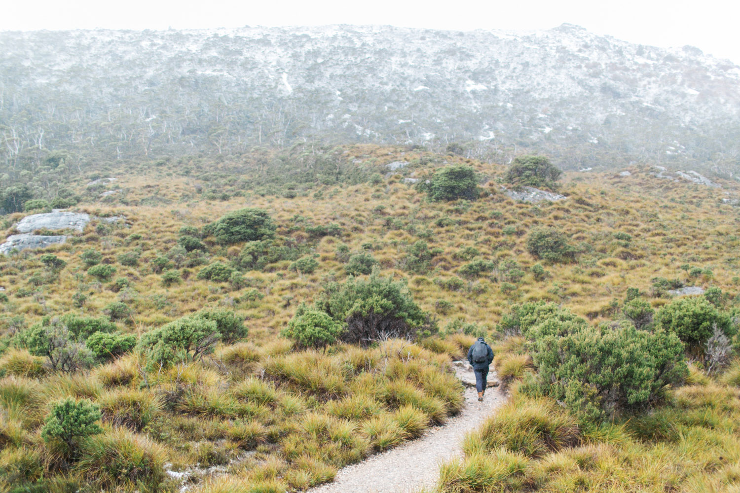 Cradle Mountain