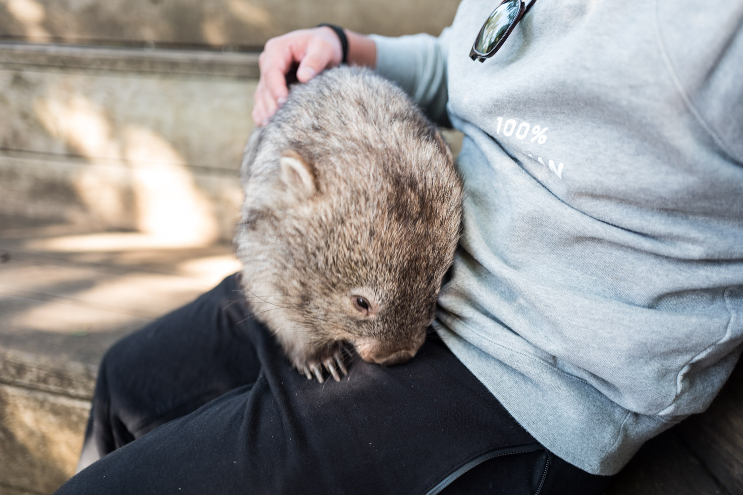 Tasmania