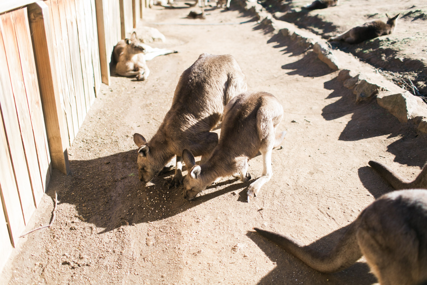 Tasmania